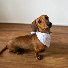 Load image into Gallery viewer, PRE-ORDER: Racing Pet Tie on Bandana - Lilac Tracks