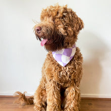 Load image into Gallery viewer, PRE-ORDER: Racing Pet Tie on Bandana - Lilac Tracks