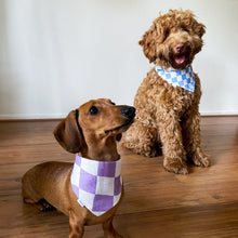 Load image into Gallery viewer, PRE-ORDER: Racing Pet Over the Collar Bandana - Black &amp; Blue Checkered
