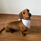 PRE-ORDER: Racing Pet Tie on Bandana - Lilac Tracks