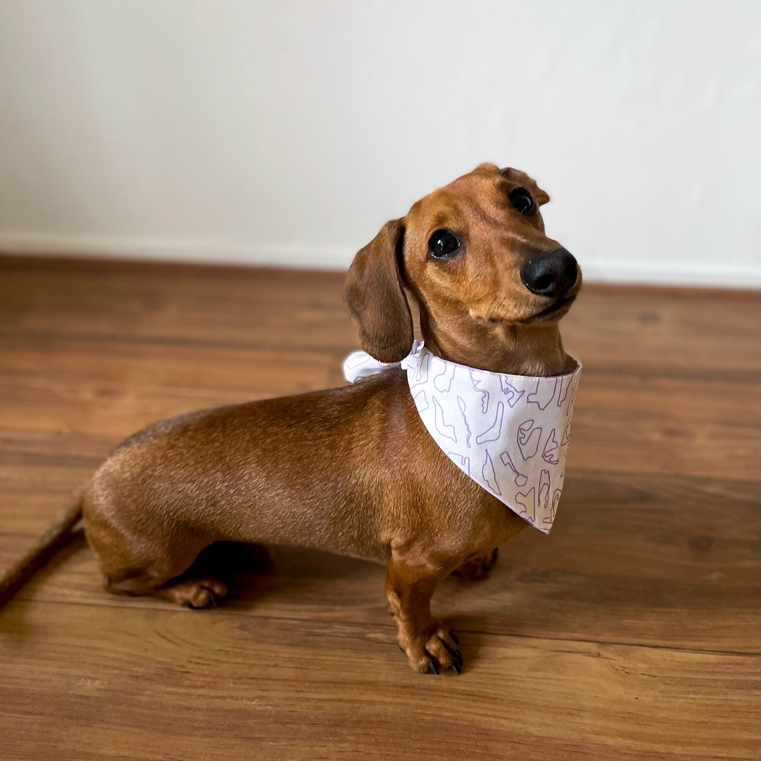 PRE-ORDER: Racing Pet Tie on Bandana - Lilac Tracks
